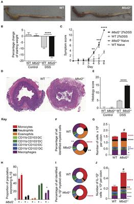 The Methyl-CpG-Binding Protein Mbd2 Regulates Susceptibility to Experimental Colitis via Control of CD11c+ Cells and Colonic Epithelium